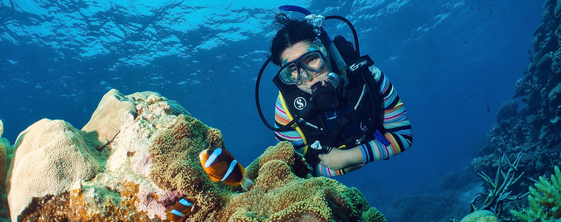 <b>Dive The Reef</b> from Cairns